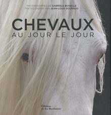 Chevaux : au jour le jour