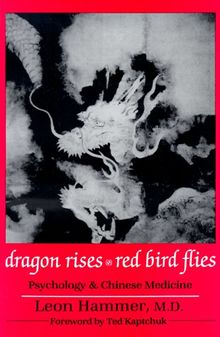 Dragon Rises, Red Bird Flies: Psychology, Energy and Chinese Medicine: Psychology & Chinese Medicine