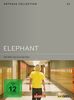 Elephant - Arthaus Collection