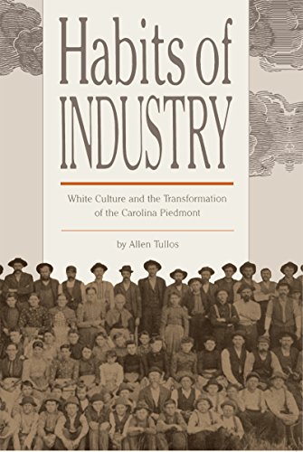 Habits of Industry: White Culture and the Transformation of the Carolina Piedmont (The Fred W. Morrison Series in Southern Studies)