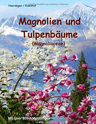 Magnolien und Tulpenbäume: Magnoliaceae