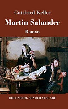 Martin Salander: Roman