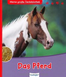 Das Pferd