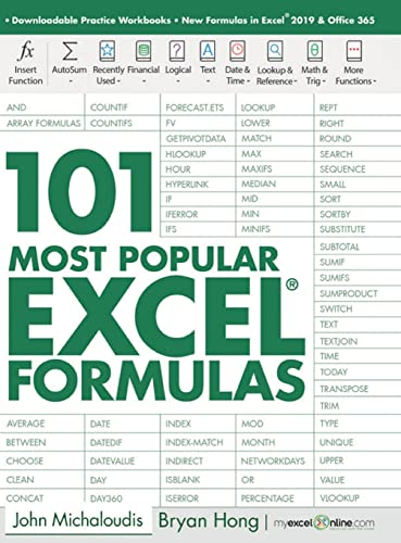 101 Most Popular Excel Formulas (101 Excel Series, Band 1)