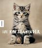 101 Katzenkinder