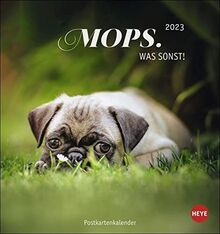 Mops Postkartenkalender 2023 - Tierkalender mit perforierten Postkarten - zum Aufstellen und Aufhängen - mit Monatskalendarium - 16 x 17 cm