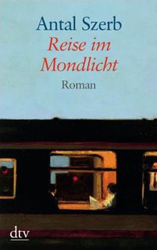 Reise im Mondlicht: Roman