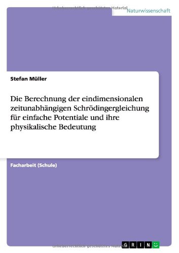 Die Berechnung der eindimensionalen zeitunabhängigen Schrödingergleichung für einfache Potentiale und ihre physikalische Bedeutung