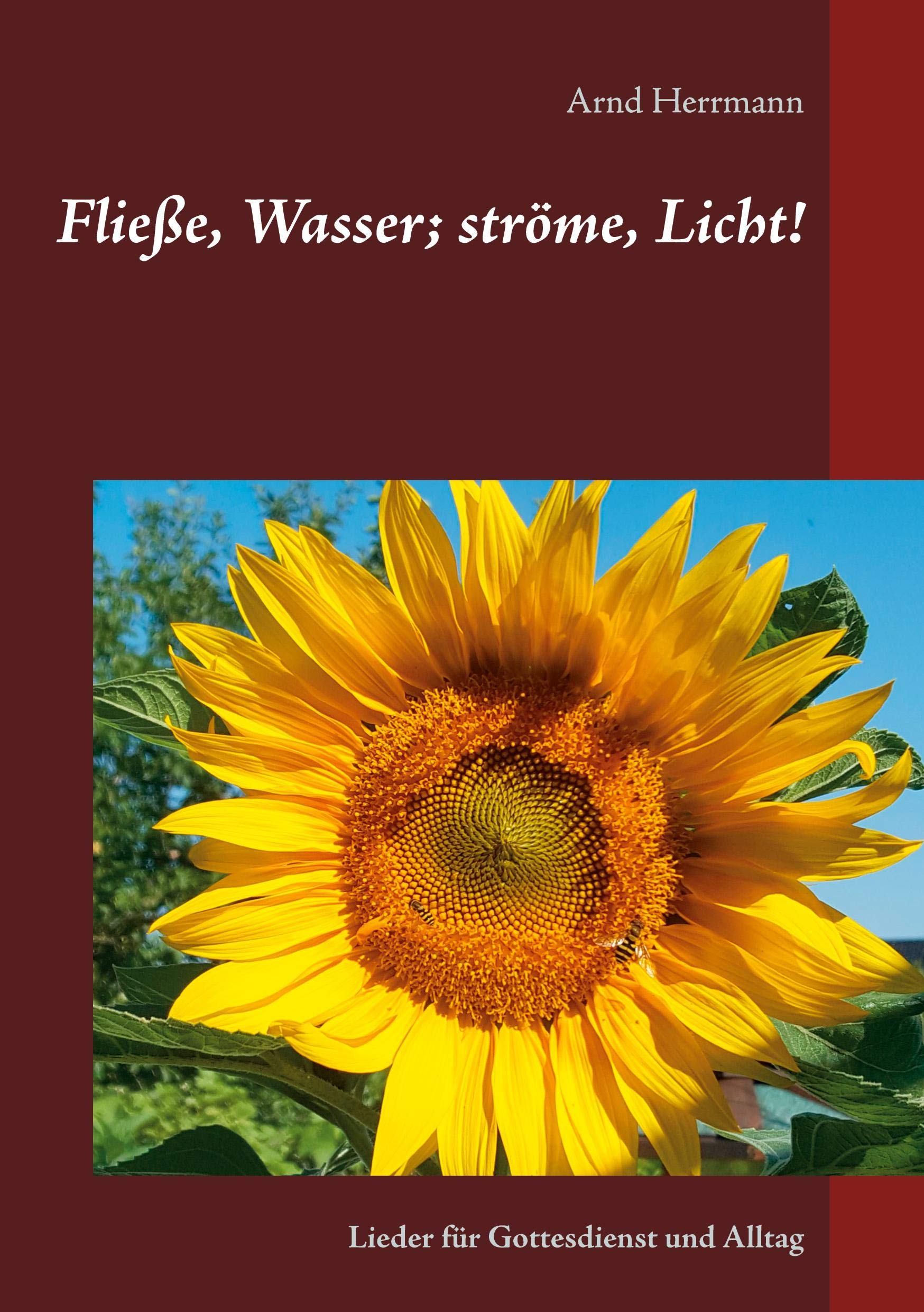 Fließe, Wasser; ströme, Licht!: Lieder für Gottesdienst und Alltag