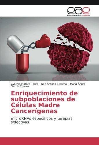 Enriquecimiento de subpoblaciones de Células Madre Cancerígenas: microRNAs específicos y terapias selectivas