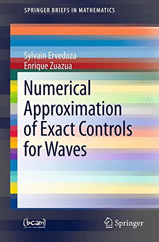 Numerical Approximation of Exact Controls for Waves (Springer Briefs in Mathematics)