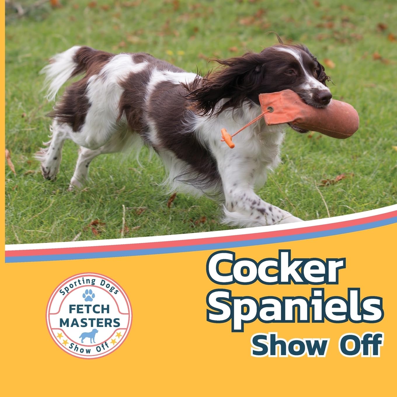 Cocker Spaniels Show Off (Fetch Masters: Sporting Dogs Show Off, Band 1)