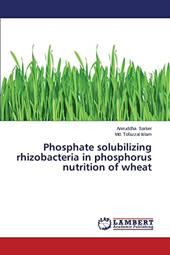Phosphate solubilizing rhizobacteria in phosphorus nutrition of wheat