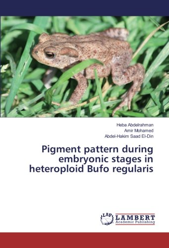 Pigment pattern during embryonic stages in heteroploid Bufo regularis