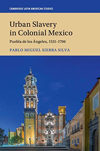 Urban Slavery in Colonial Mexico: Puebla de los Ángeles, 1531–1706 (Cambridge Latin American Studies, Band 109)
