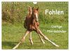 Fohlen - Lustige Pferdekinder (Wandkalender 2023 DIN A4 quer), Calvendo Monatskalender