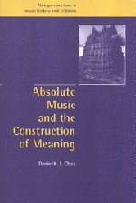 Absolute Music and the Construction of Meaning (New Perspectives in Music History and Criticism, Band 4)