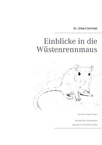Einblicke in die Wüstenrennmaus: Meriones unguiculatus Anatomische Zeichnungen allgemeinverständlich erklärt
