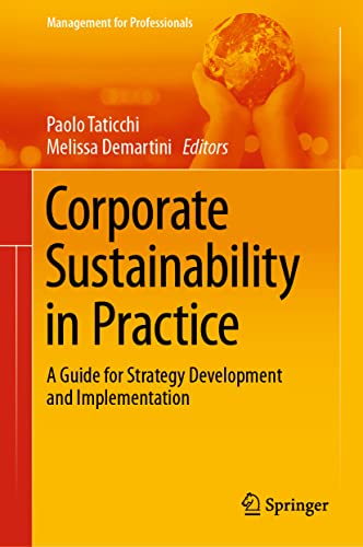 Corporate Sustainability in Practice: A Guide for Strategy Development and Implementation (Management for Professionals)