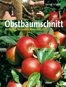 Obstbaumschnitt