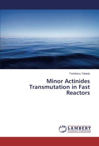 Minor Actinides Transmutation in Fast Reactors