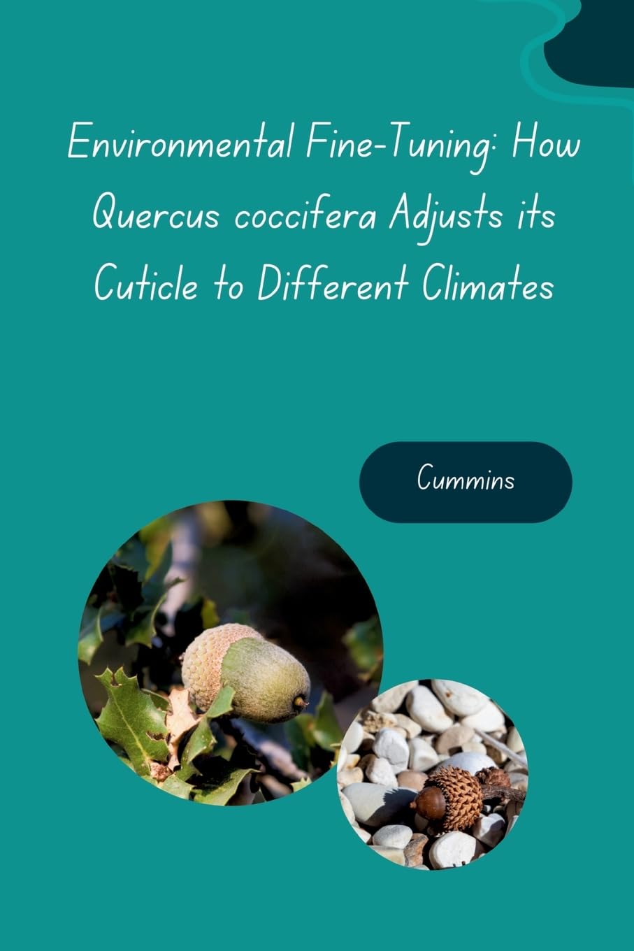 Environmental Fine-Tuning: How Quercus coccifera Adjusts its Cuticle to Different Climates: DE