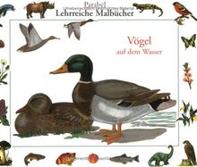 Vögel auf dem Wasser von Erwin Eigner | Buch | Zustand sehr gut