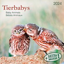 Tierbabys 2024: Kalender 2024 (Artwork Edition)