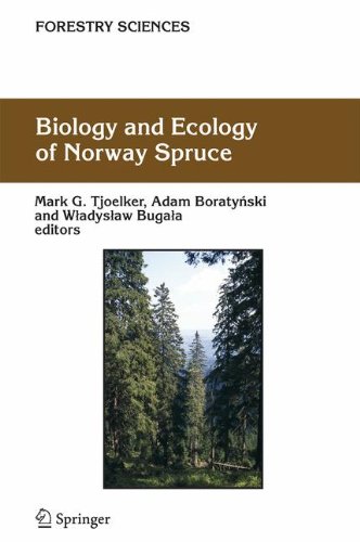 Biology and Ecology of Norway Spruce (Forestry Sciences)