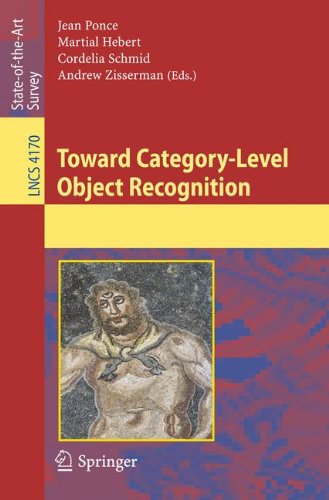 Toward Category-Level Object Recognition (Lecture Notes in Computer Science)