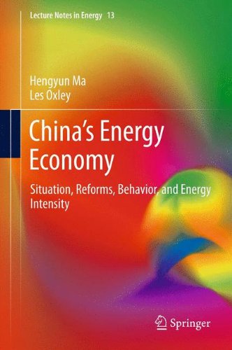 China's Energy Economy: Situation, Reforms, Behavior, and Energy Intensity (Lecture Notes in Energy)