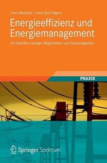 Energieeffizienz und Energiemanagement: Ein Überblick heutiger Möglichkeiten und Notwendigkeiten