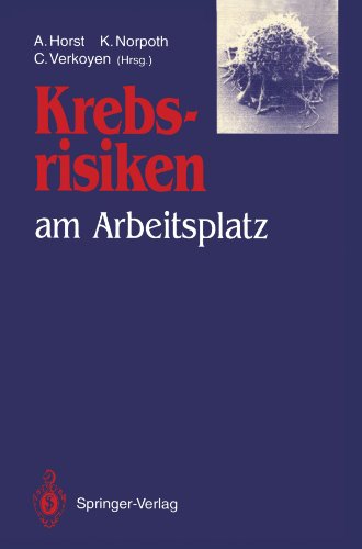 Krebsrisiken am Arbeitsplatz: Beiträge und Ergebnisse zum gleichlautenden Workshop im Rahmen des Programms Arbeit und Technik am 13. und 14. ... für Forschung und Technologie in Bonn