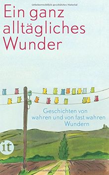 Ein ganz alltägliches Wunder: Geschichten von wahren und fast wahren Wundern (insel taschenbuch)