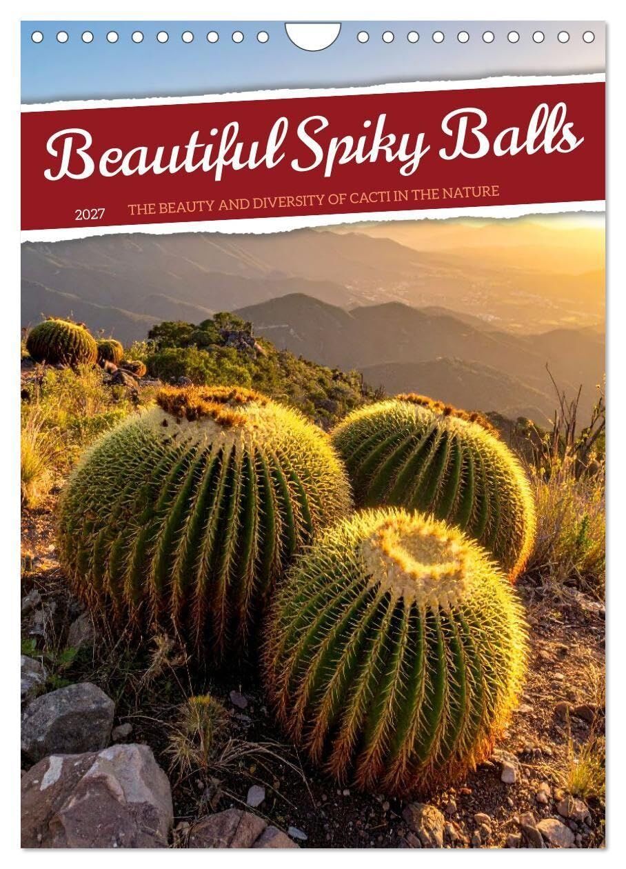 Beautiful Spiky Balls (Wall Calendar 2027 DIN A4 portrait), CALVENDO 12 Month Wall Calendar