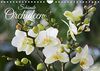 Schönste Orchideen (Wandkalender 2024 DIN A4 quer): Fantastische Orchideenblüten, gelungen in Szene gesetzt (Monatskalender, 14 Seiten ) (CALVENDO Natur)