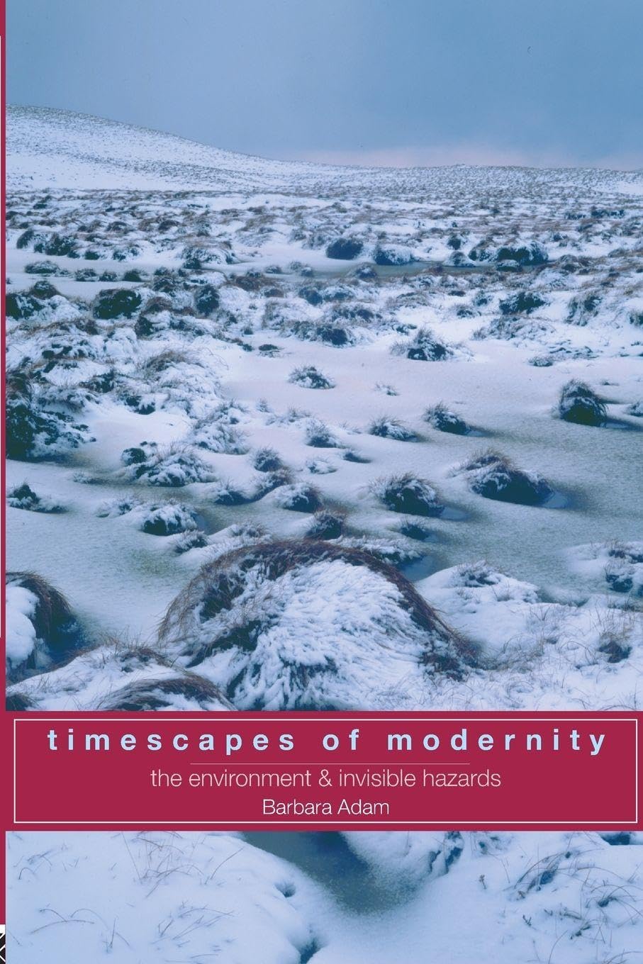 Barbara Adam Timescapes Of Modernity, The Environment And Invisible Hazards (Global Environmental Change)