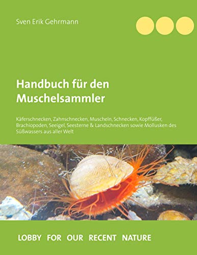 Handbuch für den Muschelsammler