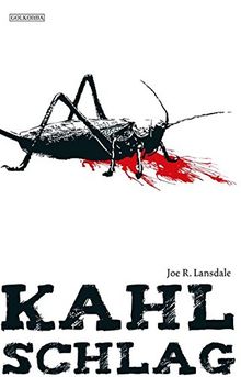 Joe R. Landsdale, Kahlschlag von Joe R. Lansdale | Buch | gebraucht – gut