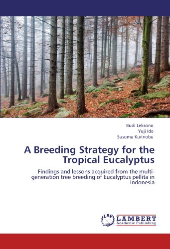 A Breeding Strategy for the Tropical Eucalyptus: Findings and lessons acquired from the multi-generation tree breeding of Eucalyptus pellita in Indonesia