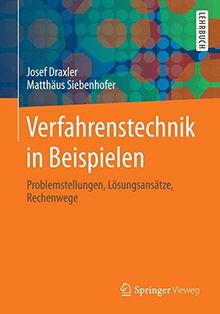 Verfahrenstechnik in Beispielen: Problemstellungen, Lösungsansätze, Rechenwege