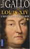 Louis XIV. Vol. 2. L'hiver du Grand Roi