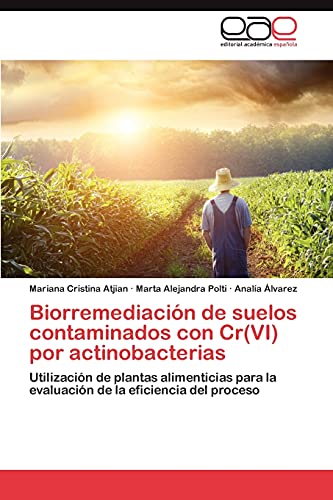 Biorremediación de suelos contaminados con Cr(VI) por actinobacterias: Utilización de plantas alimenticias para la evaluación de la eficiencia del proceso