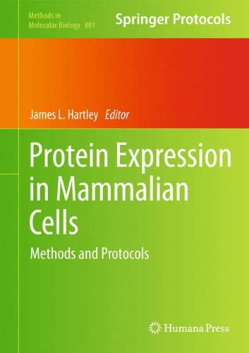 Protein Expression in Mammalian Cells: Methods and Protocols (Methods in Molecular Biology)