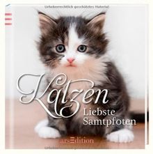 Katzen: Liebste Samtpfoten