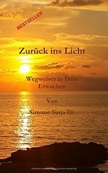 Zurück ins Licht - Wegweiser in Dein Erwachen