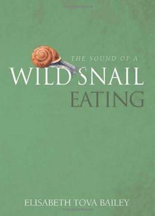 The Sound of a Wild Snail Eating