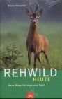 Rehwild heute. Lebensraum, Jagd und Hege von Bruno Hespeler  | Buch | Zustand sehr gut