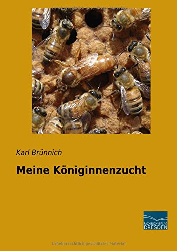 Meine Koeniginnenzucht
