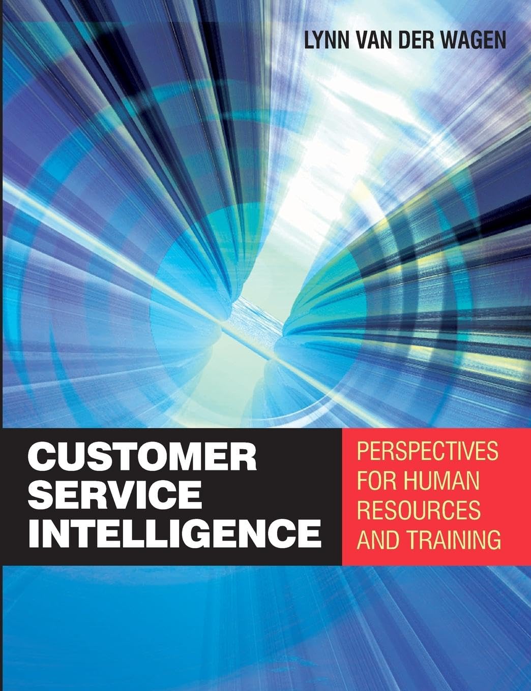 Customer Service Intelligence: Perspectives for Human Resources and Training